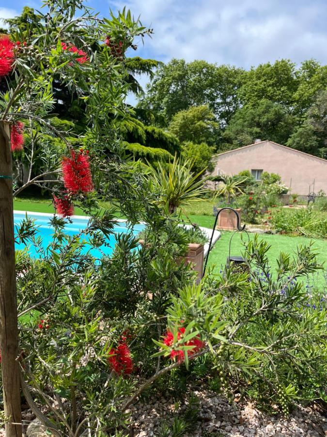 Suite A La Villa Cattus Bram Bagian luar foto